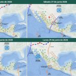 1000256357