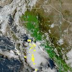 1000293038