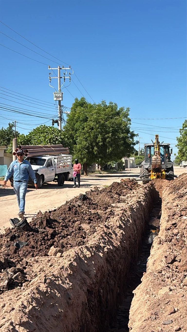 1000312387